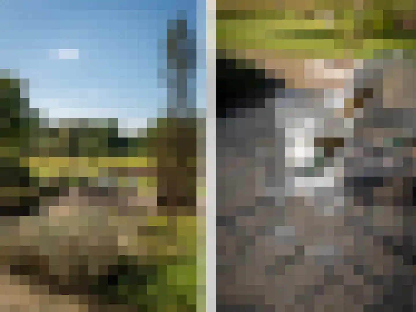 Lage Veenweg 9 Emst thumbnail 57