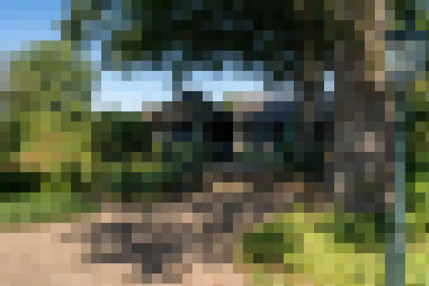 Lage Veenweg 9 Emst thumbnail 59