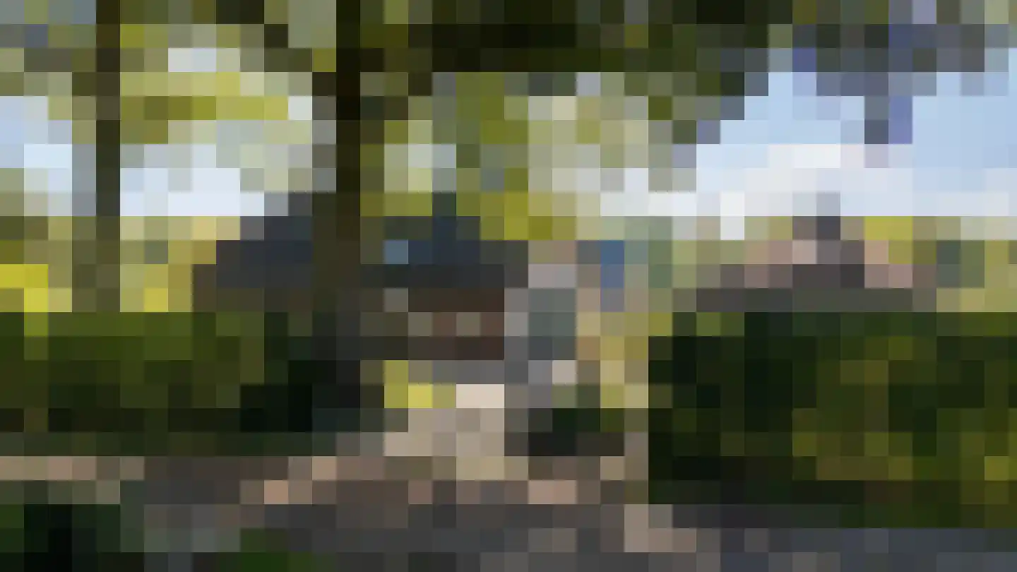 Lage Veenweg 9 Emst thumbnail 59