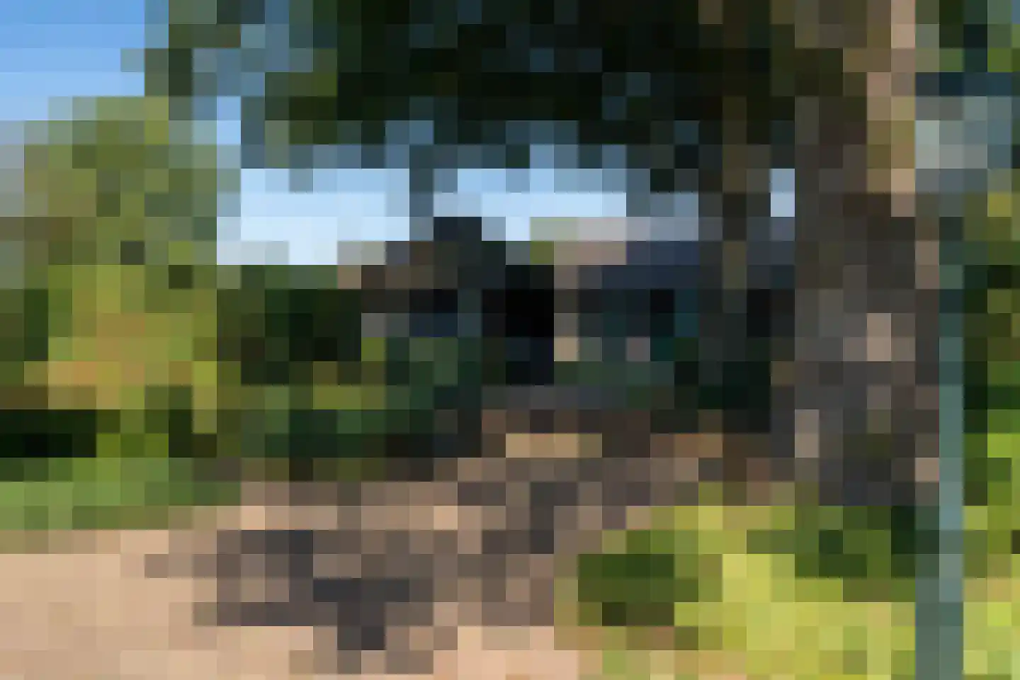 Lage Veenweg 9 Emst thumbnail 60