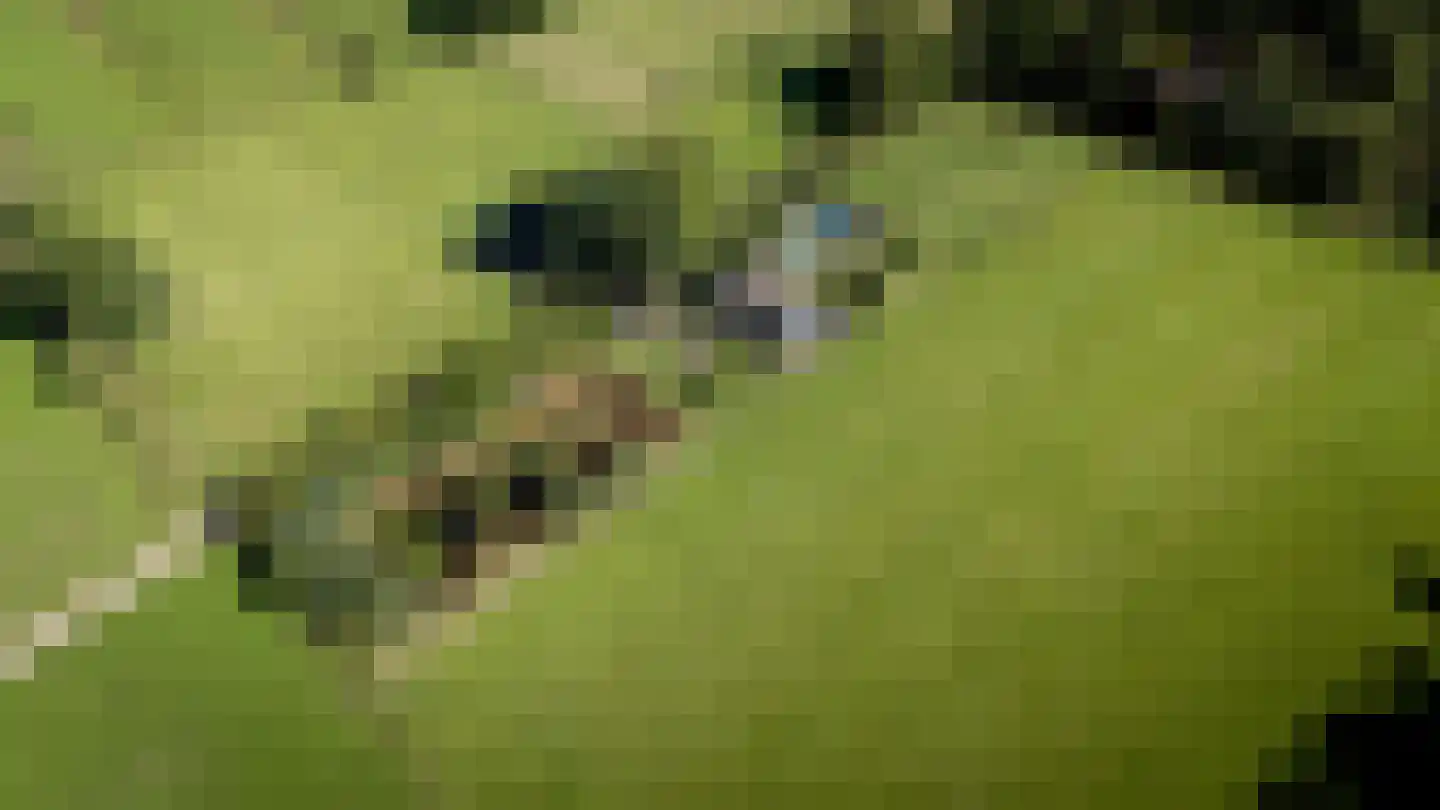 Lage Veenweg 9 Emst thumbnail 64