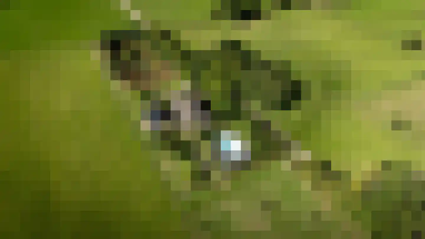 Lage Veenweg 9 Emst thumbnail 65