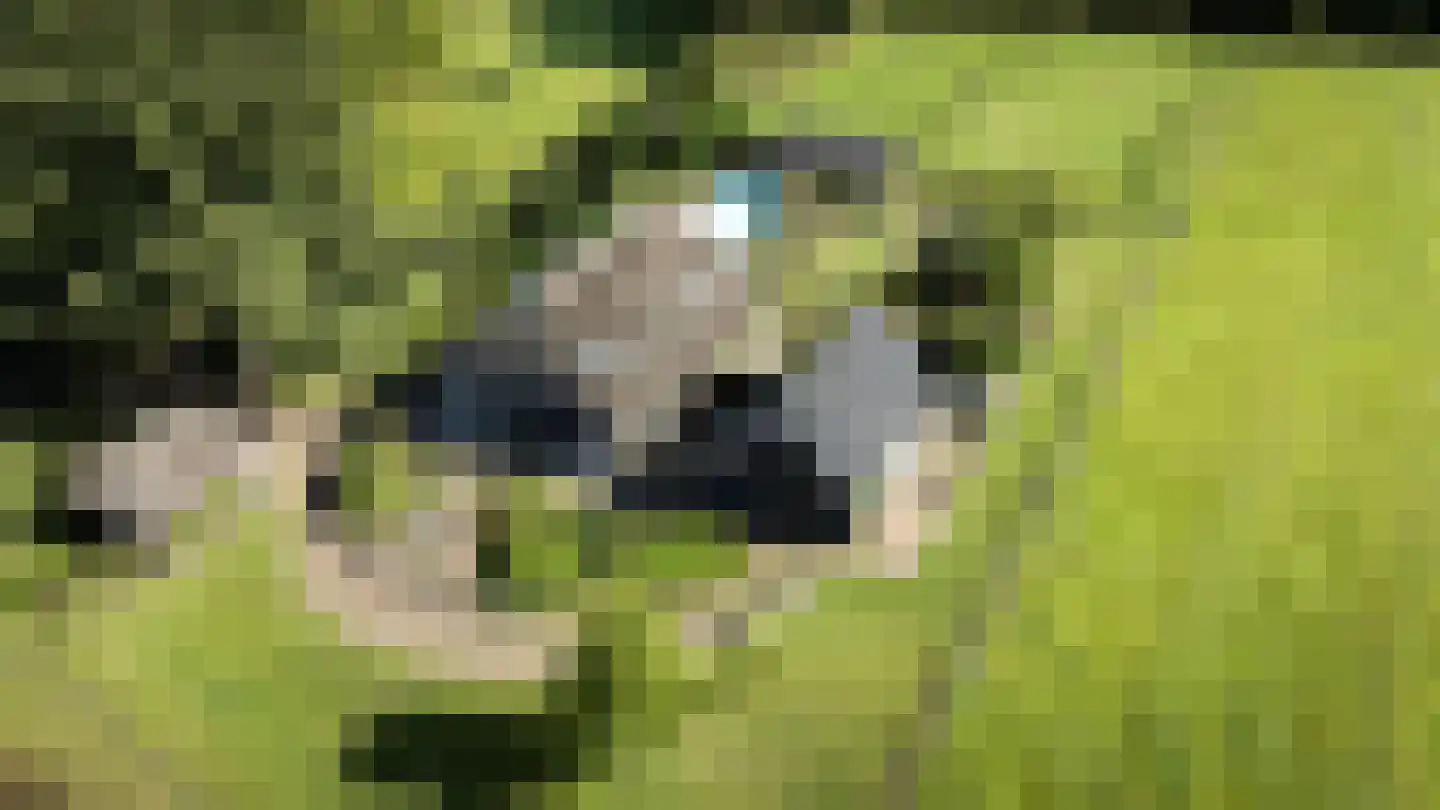 Lage Veenweg 9 Emst thumbnail 66