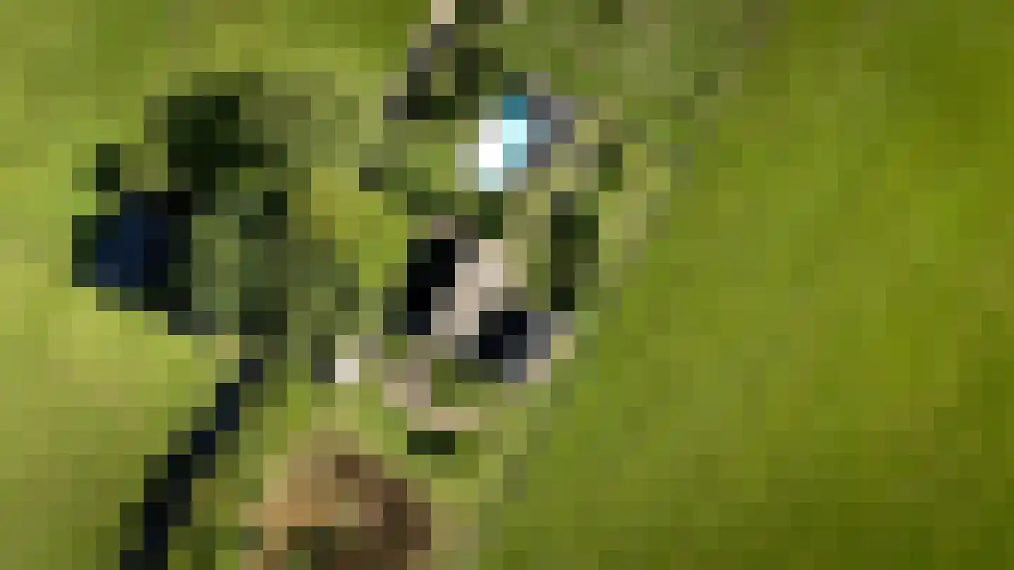 Lage Veenweg 9 Emst thumbnail 67
