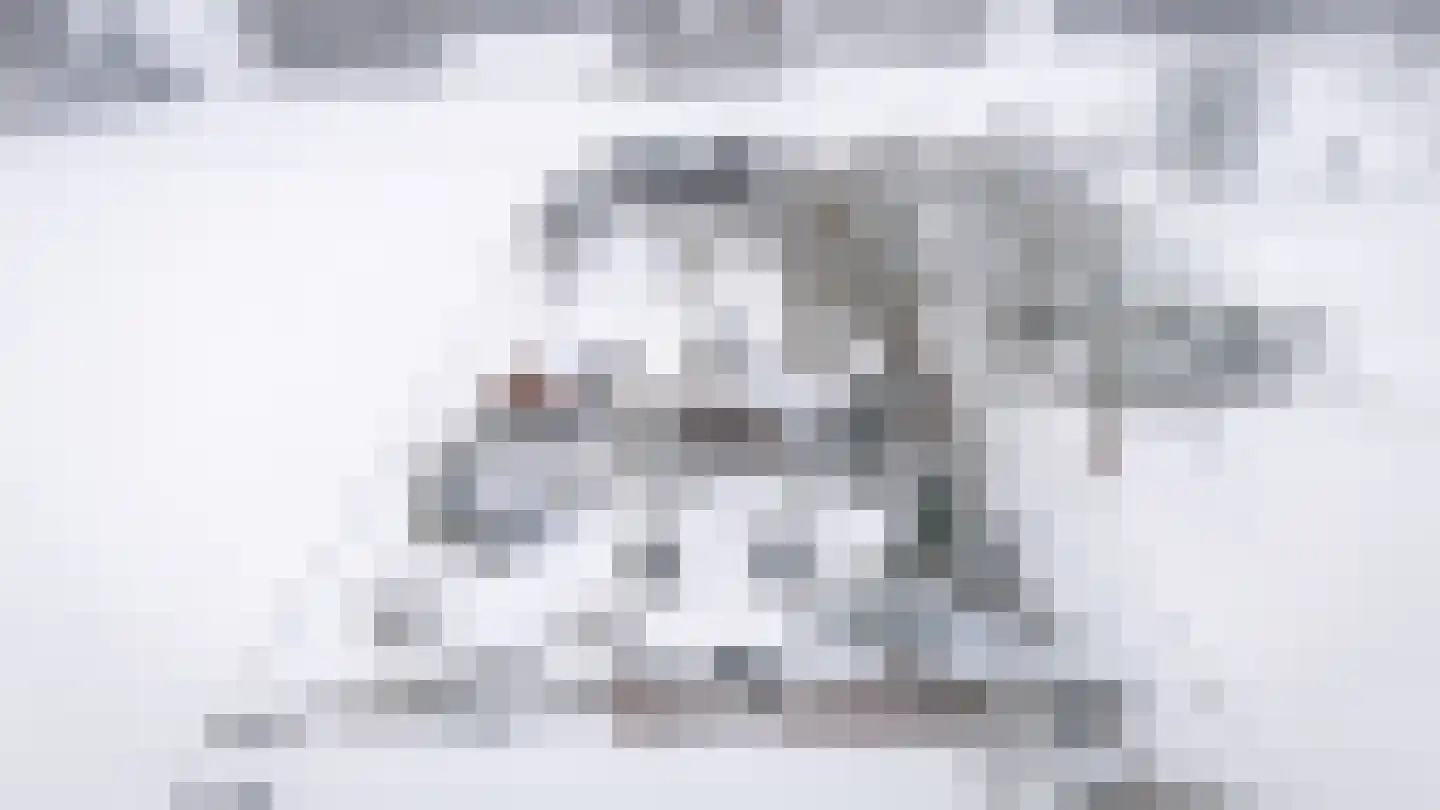Lage Veenweg 9 Emst thumbnail 69