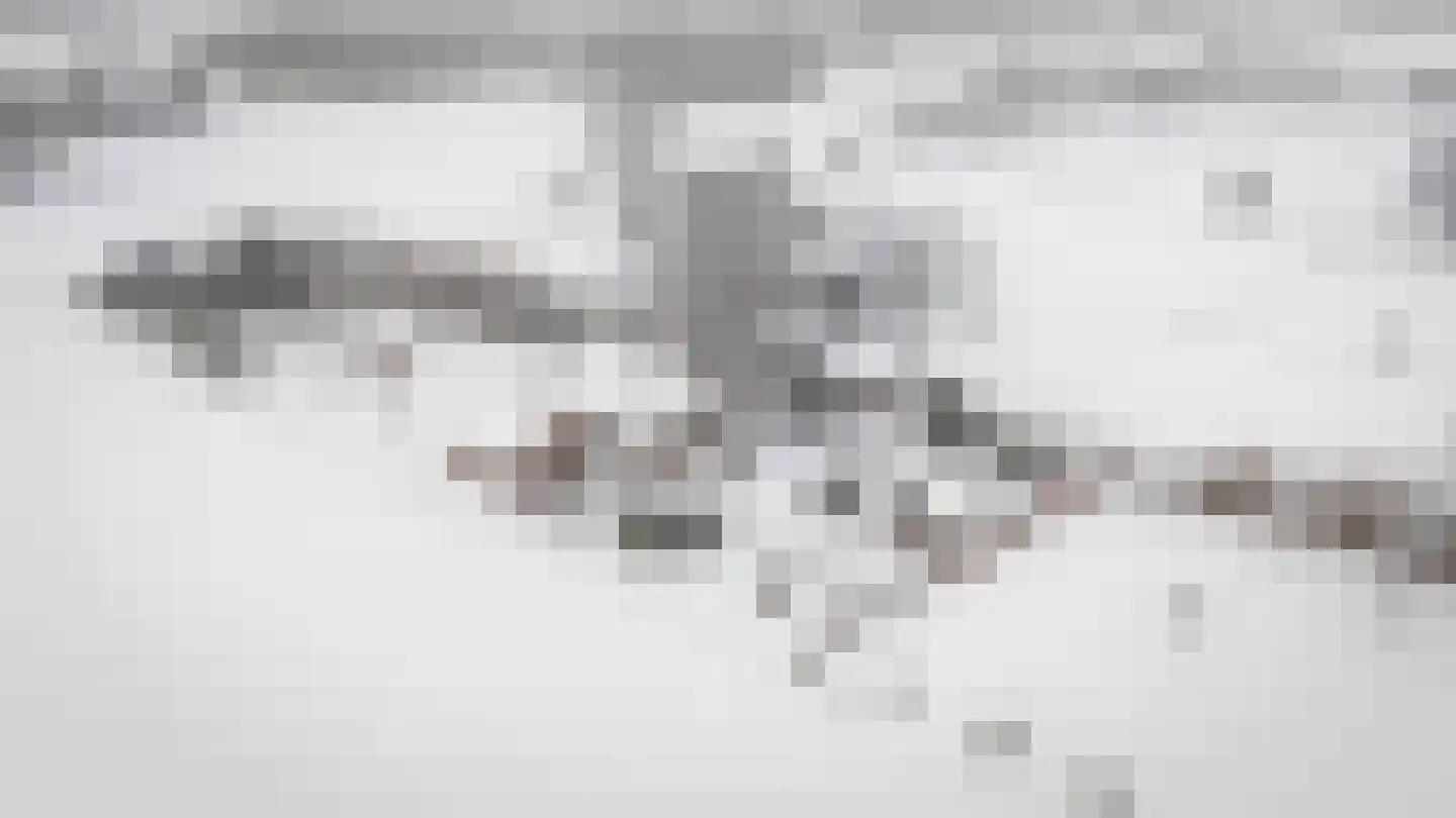 Lage Veenweg 9 Emst thumbnail 70