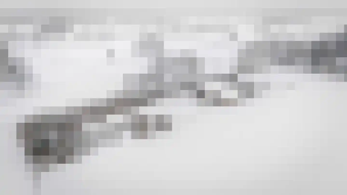 Lage Veenweg 9 Emst thumbnail 71