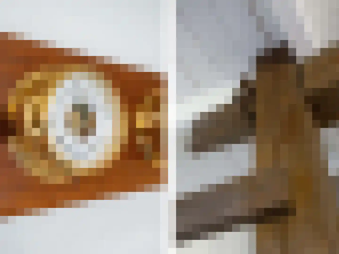 Lage Veenweg 9 Emst thumbnail 8