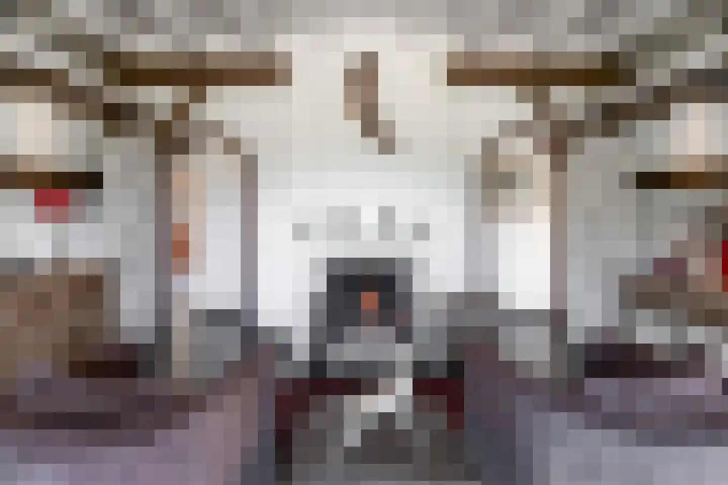 Lage Veenweg 9 Emst thumbnail 9