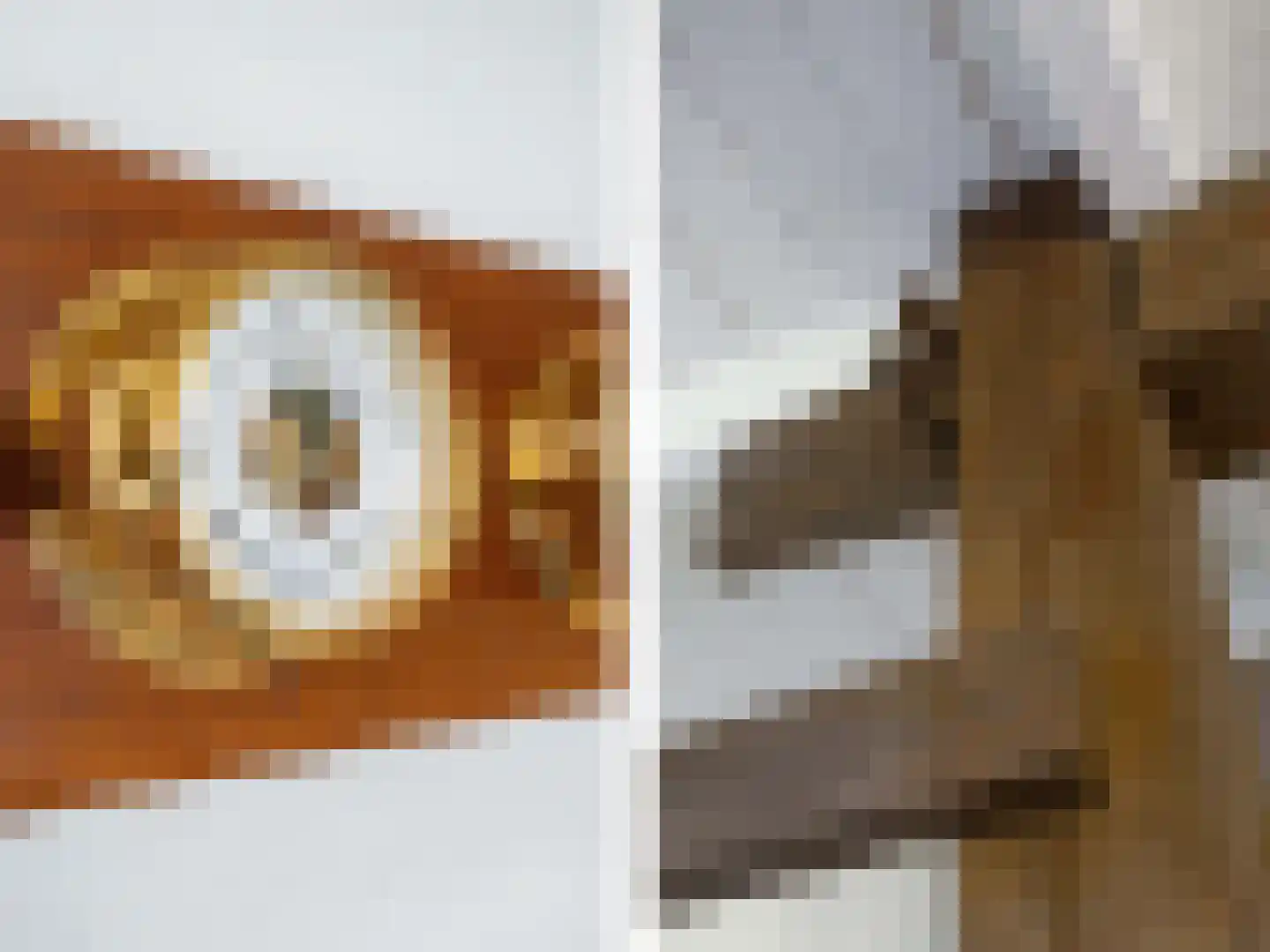 Lage Veenweg 9 Emst thumbnail 9