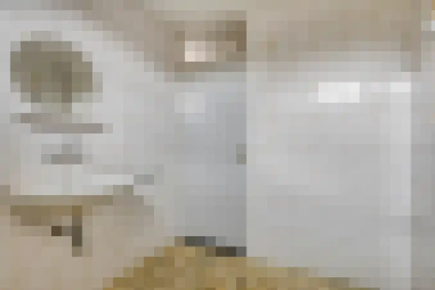 Lage Veld 102 Aalten thumbnail 20