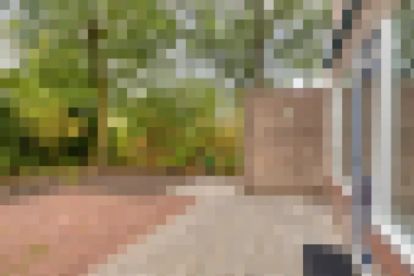 Lage Veld 102 Aalten thumbnail 26
