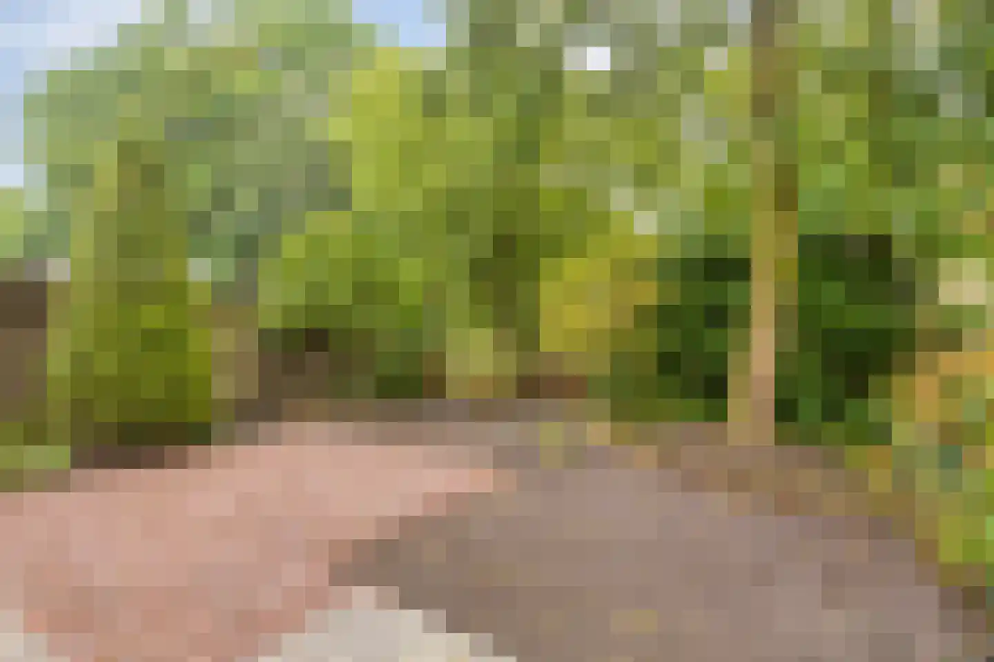 Lage Veld 102 Aalten thumbnail 27