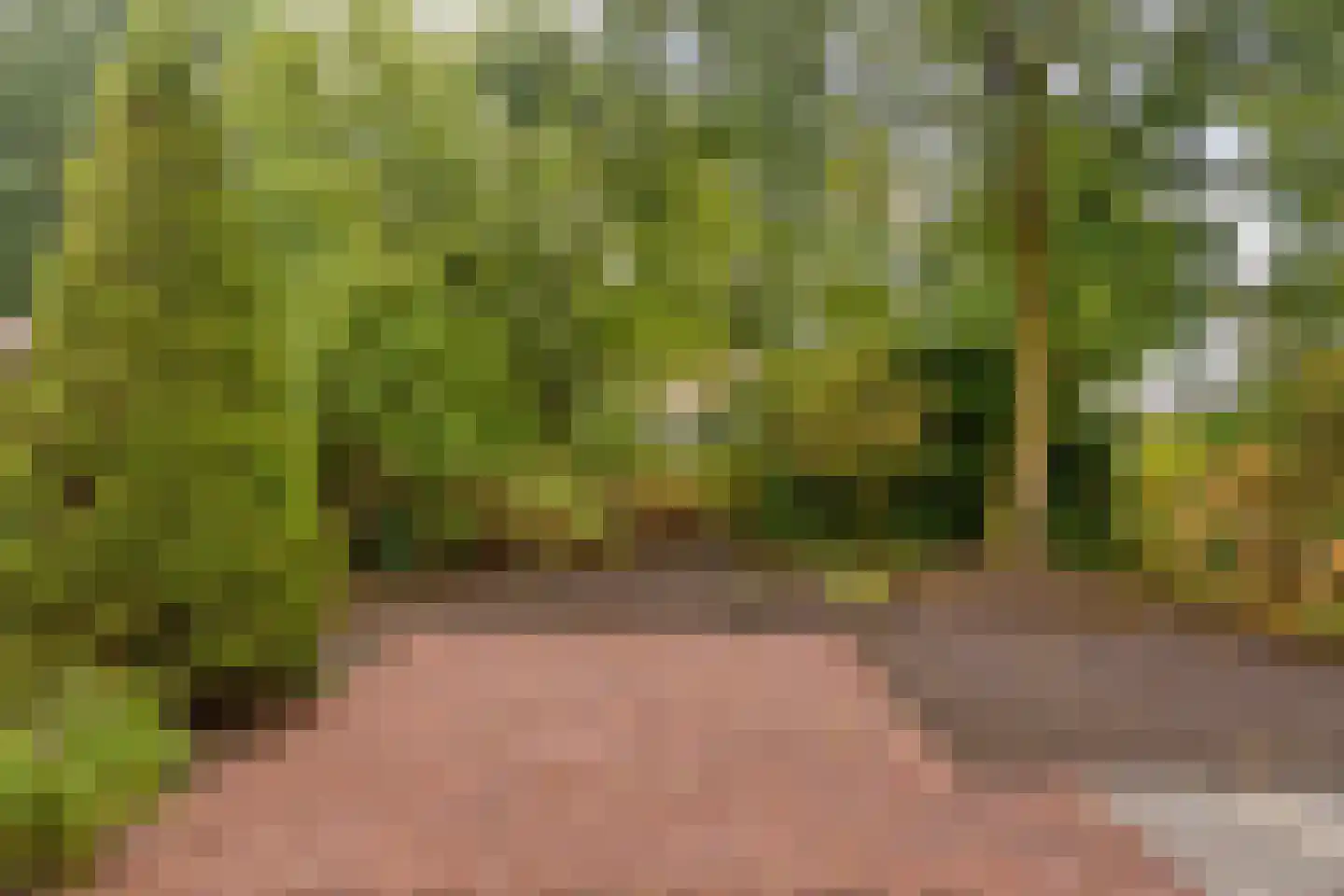 Lage Veld 102 Aalten thumbnail 28