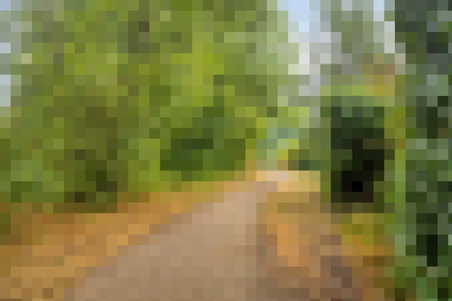 Lage Veld 102 Aalten thumbnail 36