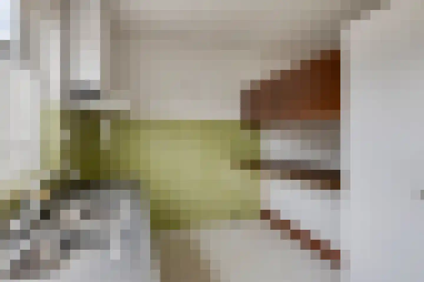 Lage Veld 102 Aalten thumbnail 6