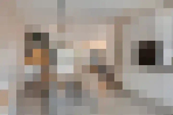 Lage Veld 2 Aalten thumbnail 10
