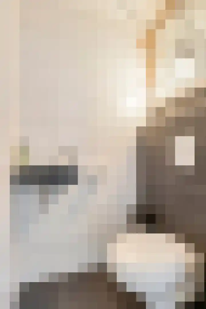 Lage Veld 2 Aalten thumbnail 17