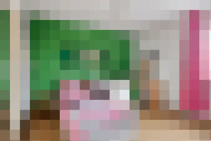 Lage Veld 2 Aalten thumbnail 22