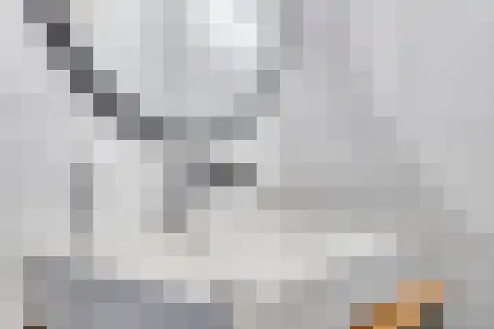 Lage Veld 2 Aalten thumbnail 26
