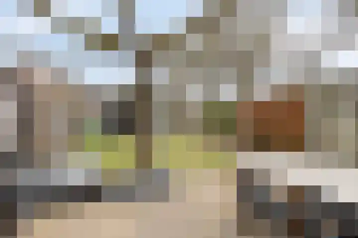 Lage Veld 2 Aalten thumbnail 38