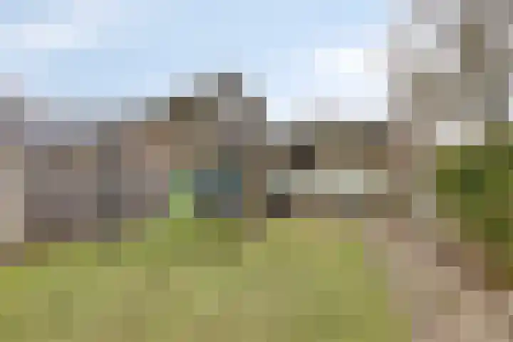 Lage Veld 2 Aalten thumbnail 39