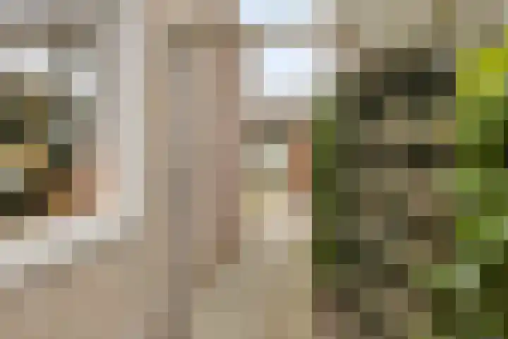 Lage Veld 2 Aalten thumbnail 41