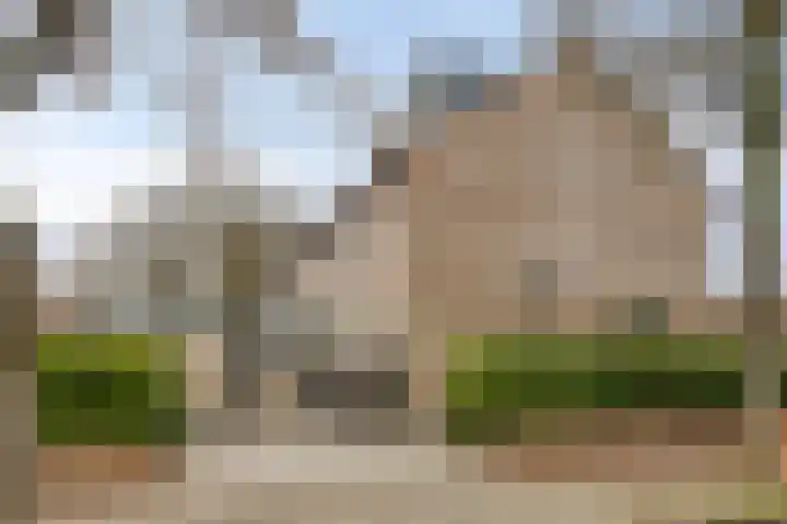 Lage Veld 2 Aalten thumbnail 44