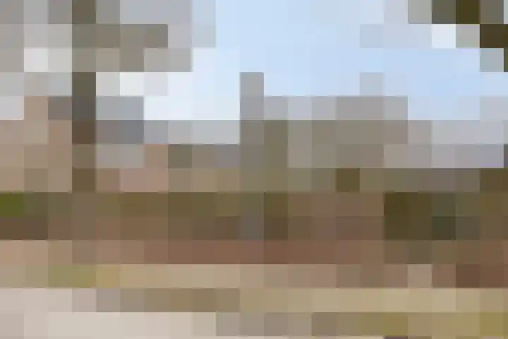 Lage Veld 2 Aalten thumbnail 45