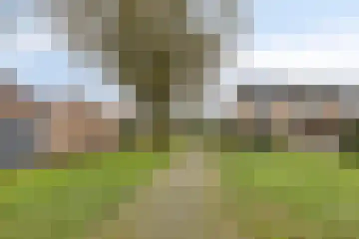Lage Veld 2 Aalten thumbnail 46