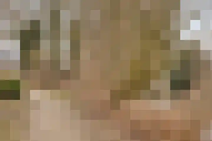 Lage Veld 2 Aalten thumbnail 47