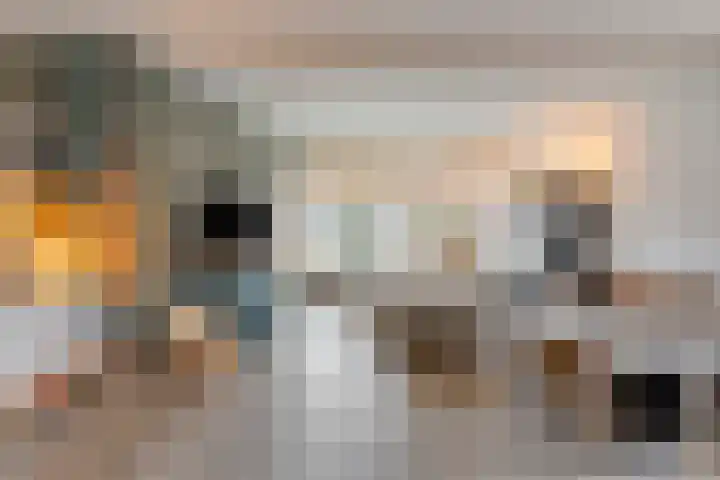 Lage Veld 2 Aalten thumbnail 6