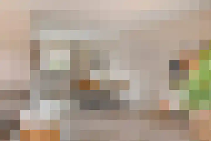 Lage Veld 2 Aalten thumbnail 9