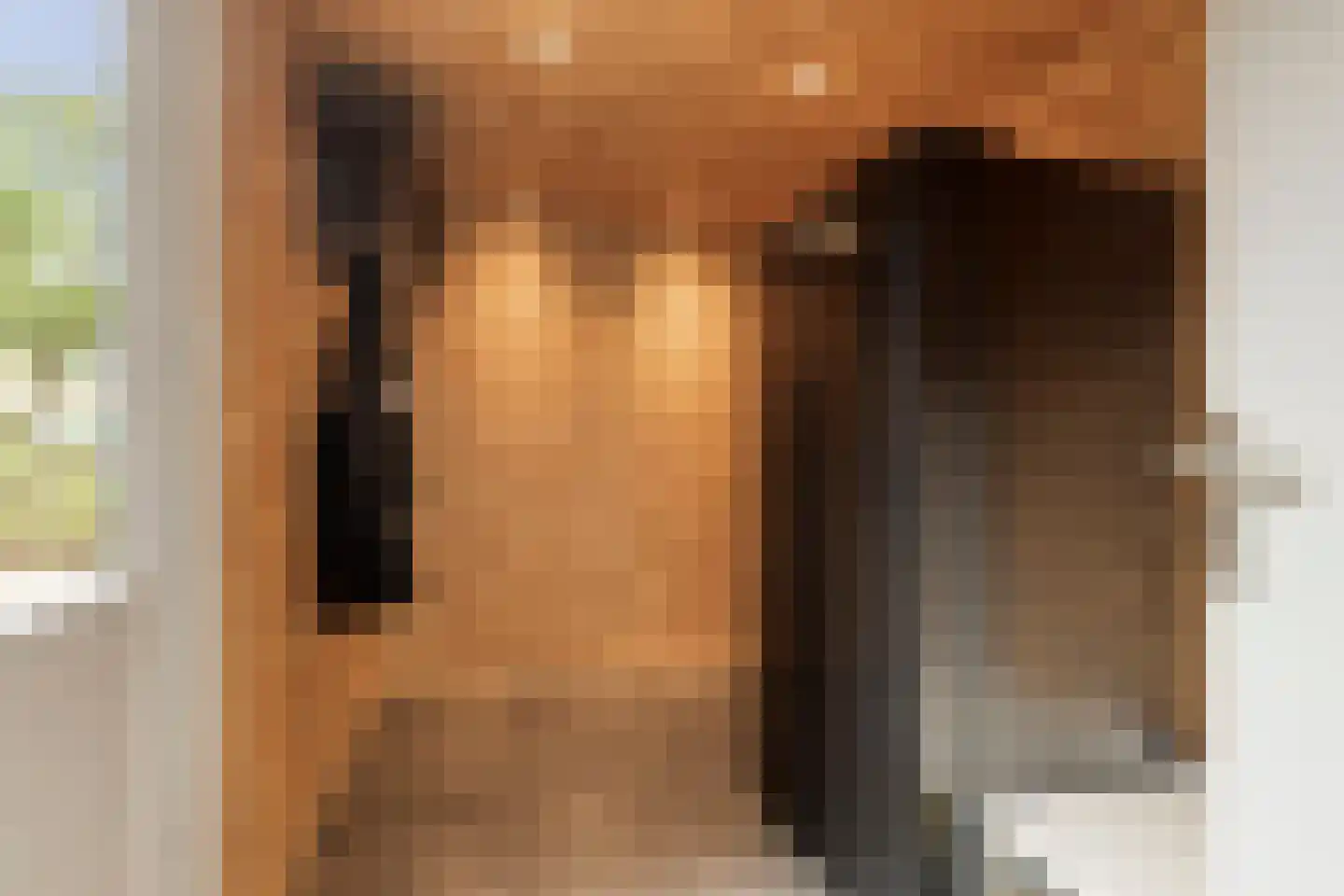 Lage Veld 22 Aalten thumbnail 12
