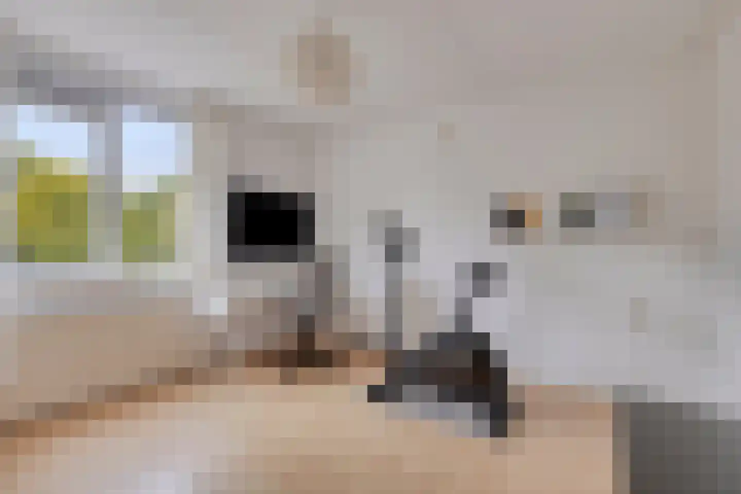 Lage Veld 22 Aalten thumbnail 19