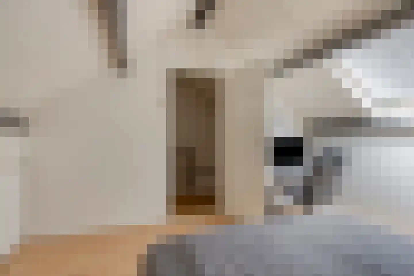 Lage Veld 22 Aalten thumbnail 25