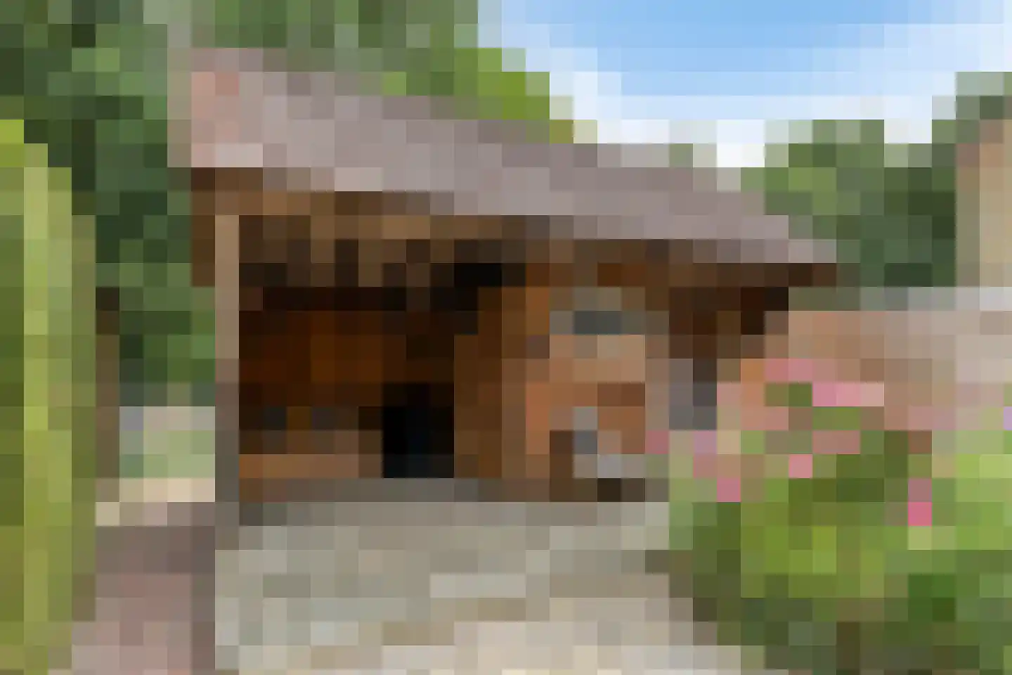 Lage Veld 22 Aalten thumbnail 29