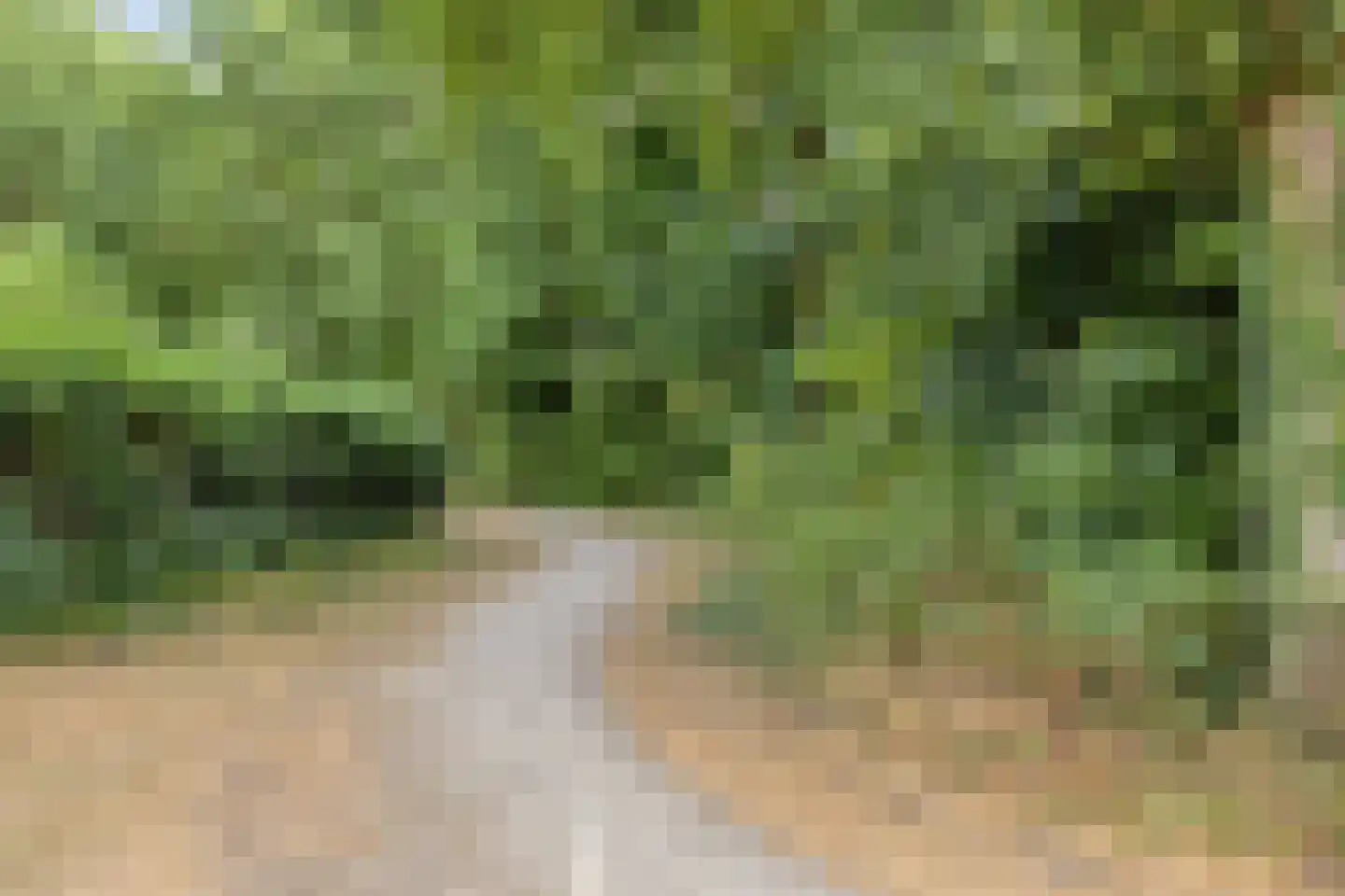 Lage Veld 22 Aalten thumbnail 35