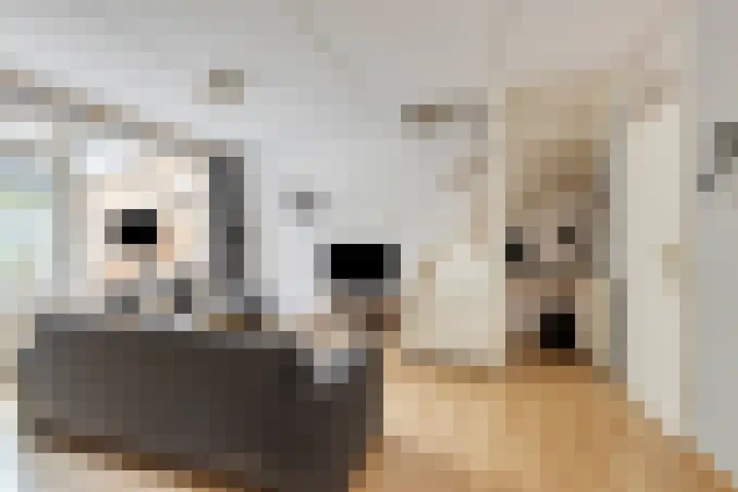 Lage Veld 22 Aalten thumbnail 5