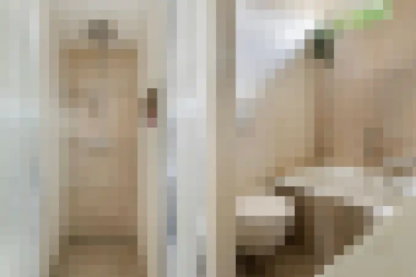 Lage Veld 29 Aalten thumbnail 21
