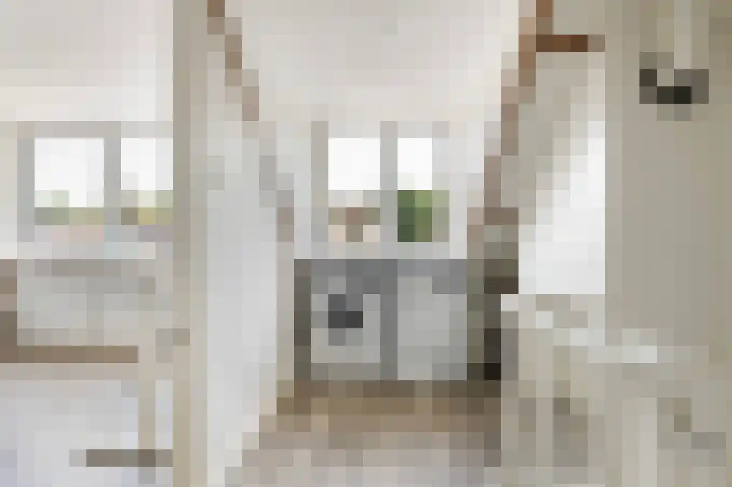 Lage Veld 29 Aalten thumbnail 22