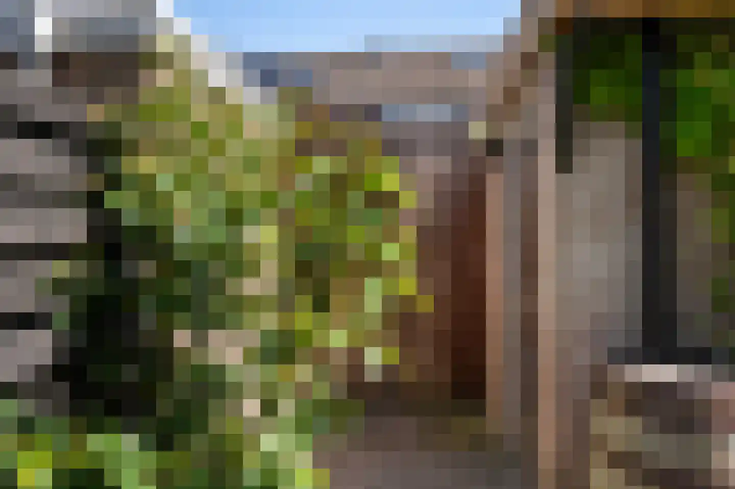 Lage Veld 29 Aalten thumbnail 29