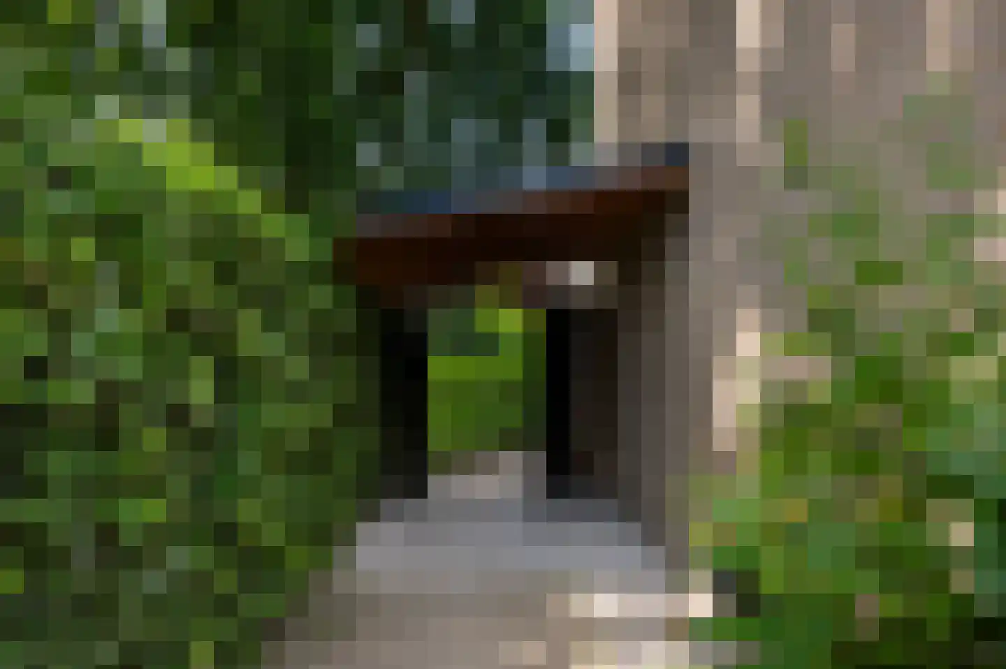 Lage Veld 29 Aalten thumbnail 30