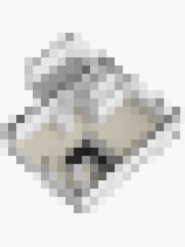 Lage Veld 29 Aalten thumbnail 38