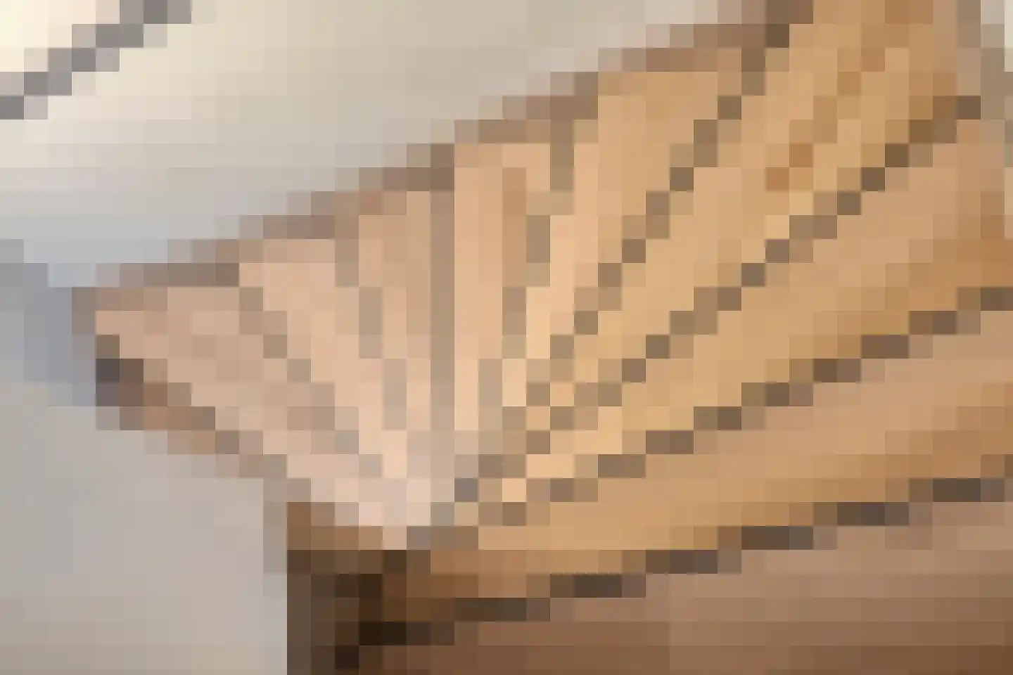 Lage Veld 42 Aalten thumbnail 32
