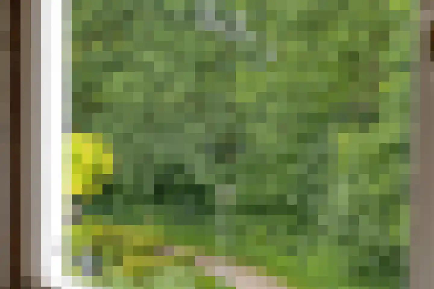 Lage Veld 42 Aalten thumbnail 46