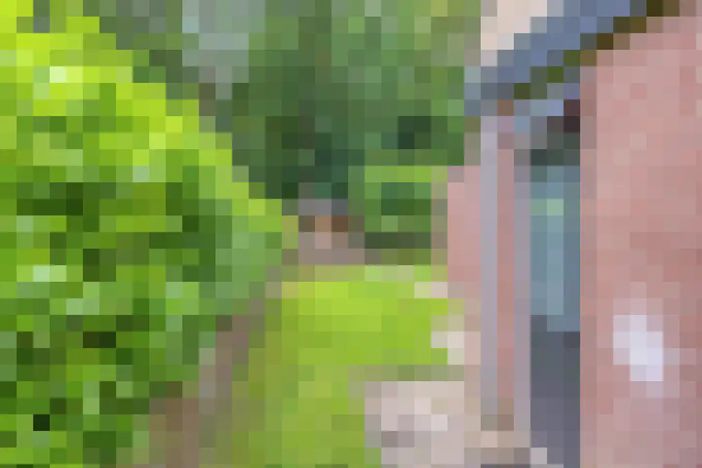 Lage Veld 42 Aalten thumbnail 47
