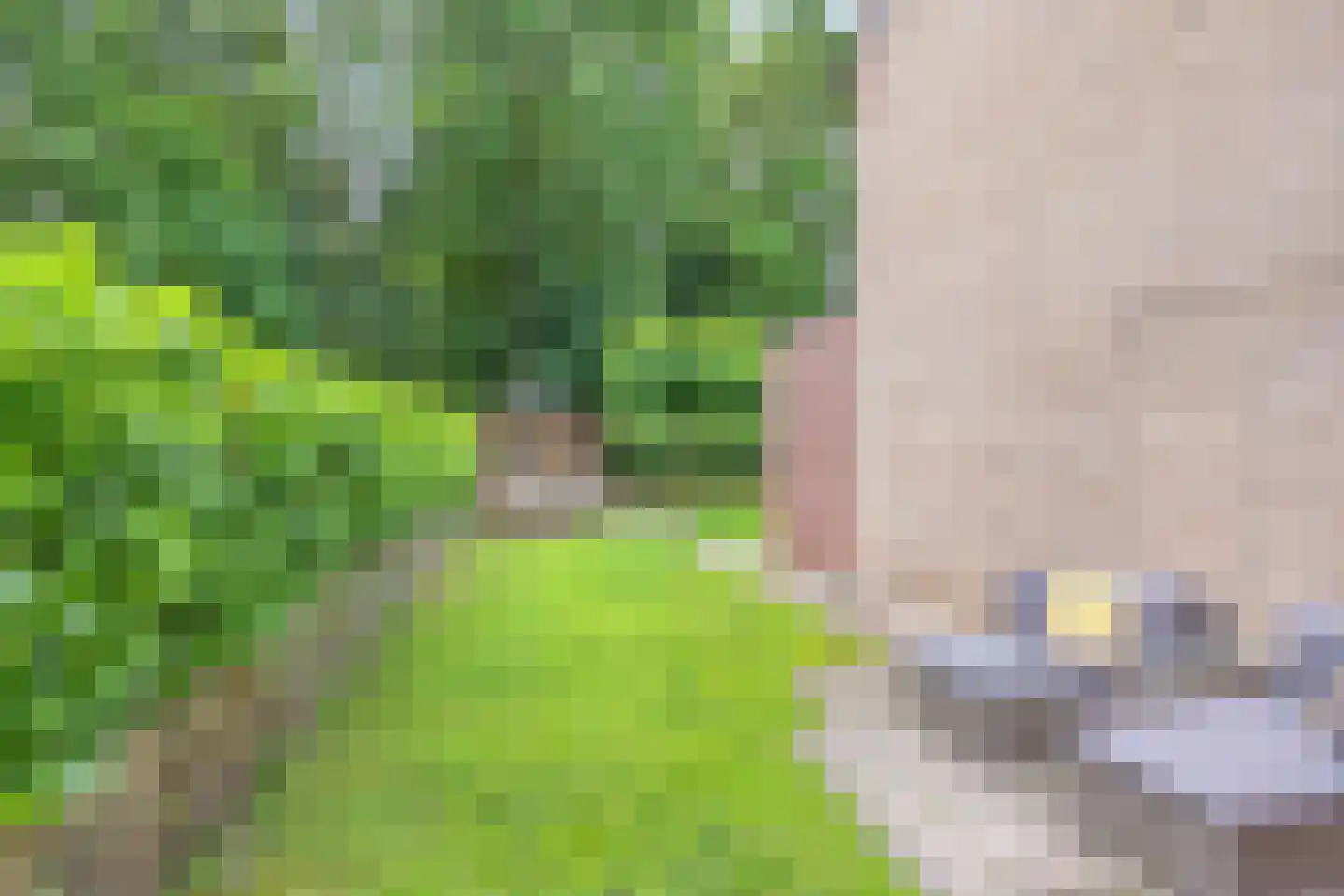 Lage Veld 42 Aalten thumbnail 48