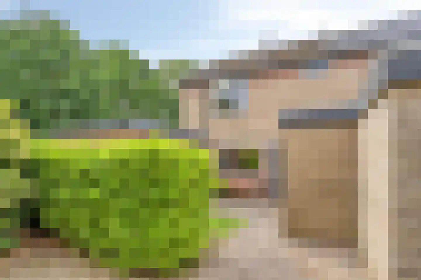 Lage Veld 42 Aalten thumbnail 5