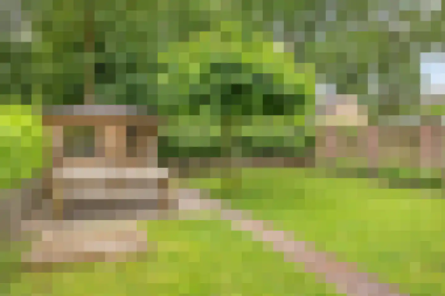 Lage Veld 42 Aalten thumbnail 50